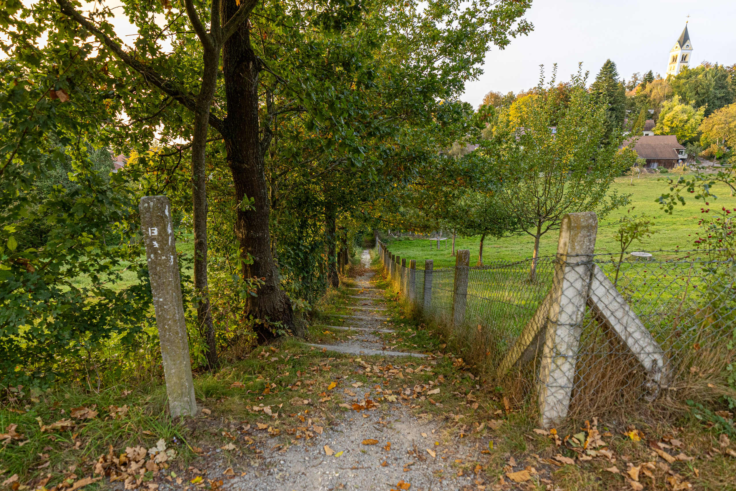 20231014174021 R5D 4225